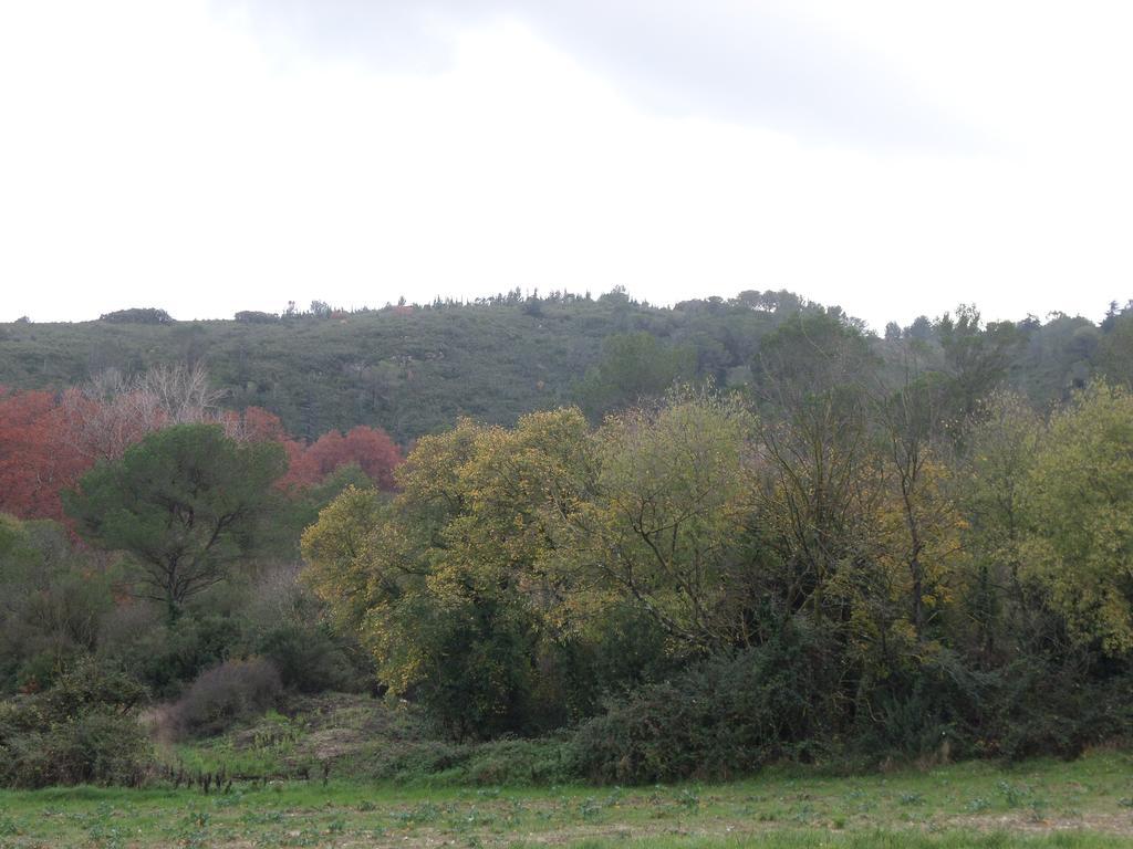 Appart'17-Domaine De La Source Uzès Εξωτερικό φωτογραφία